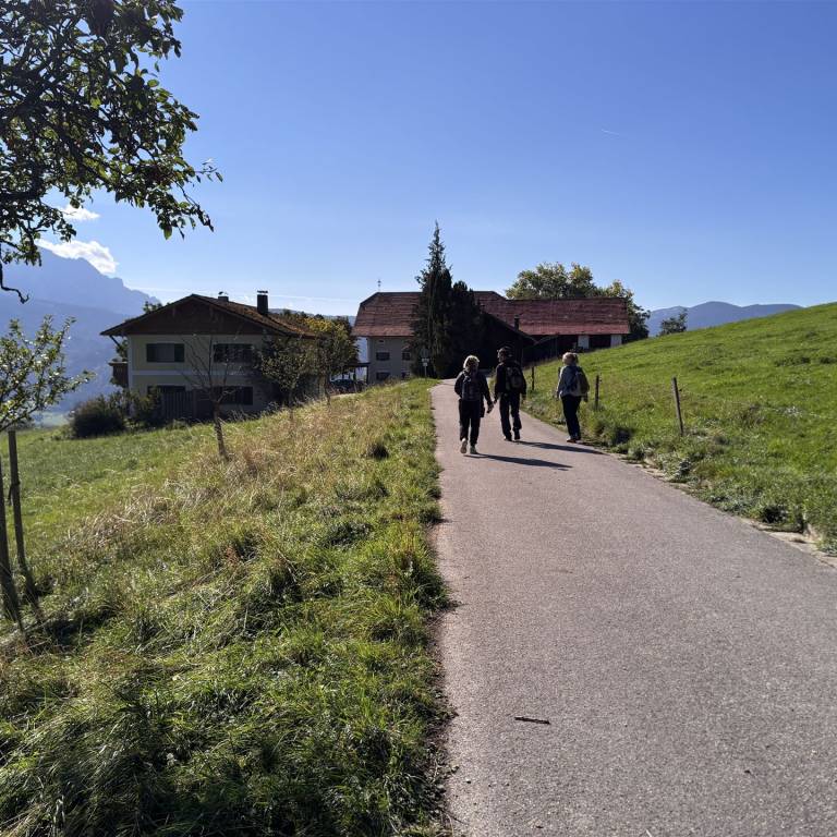 20260925152216_Johannishögl-NeubichlerAlm-StroblAlm