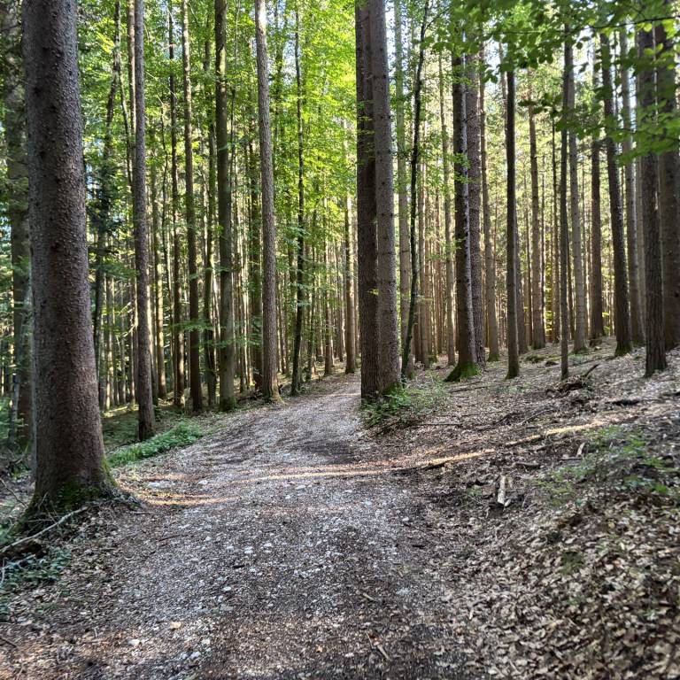 20260925164747_Johannishögl-NeubichlerAlm-StroblAlm